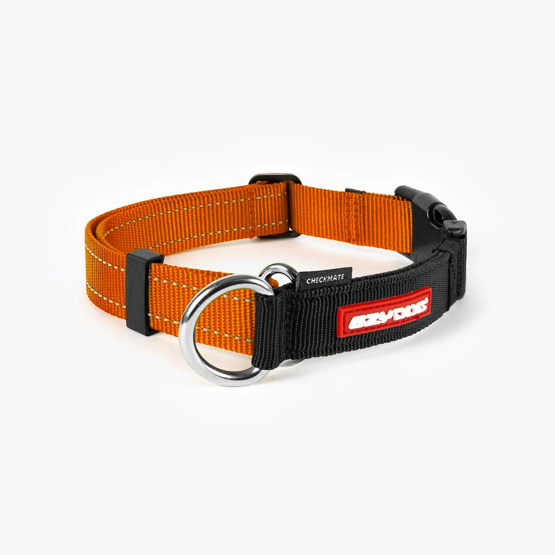 Checkmate™ Collar - Image 10