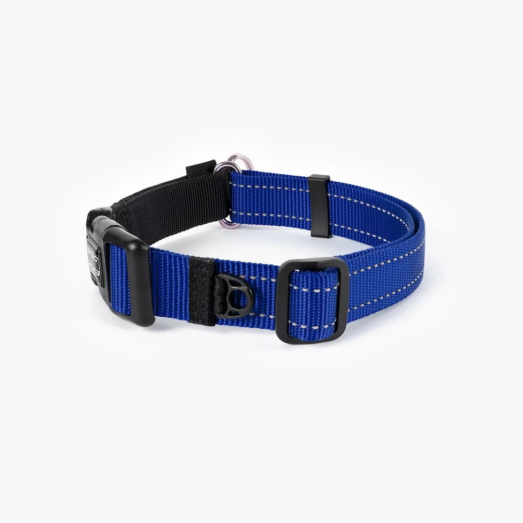 Checkmate™ Collar - Image 14