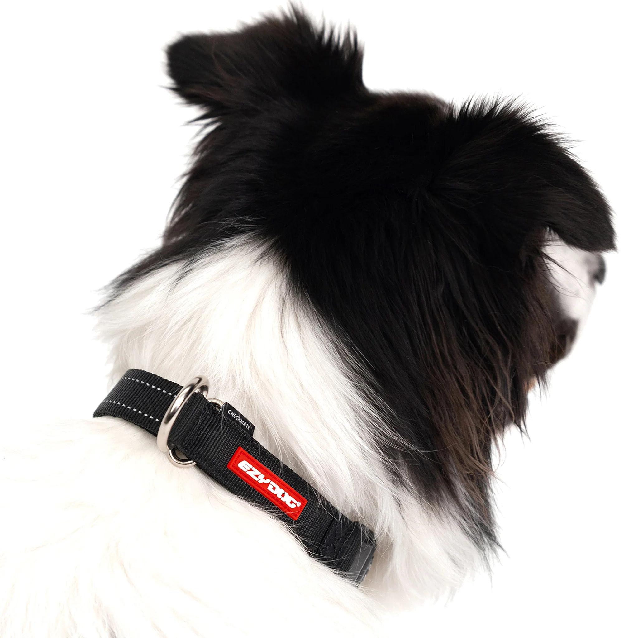 Checkmate™ Collar - Image 2