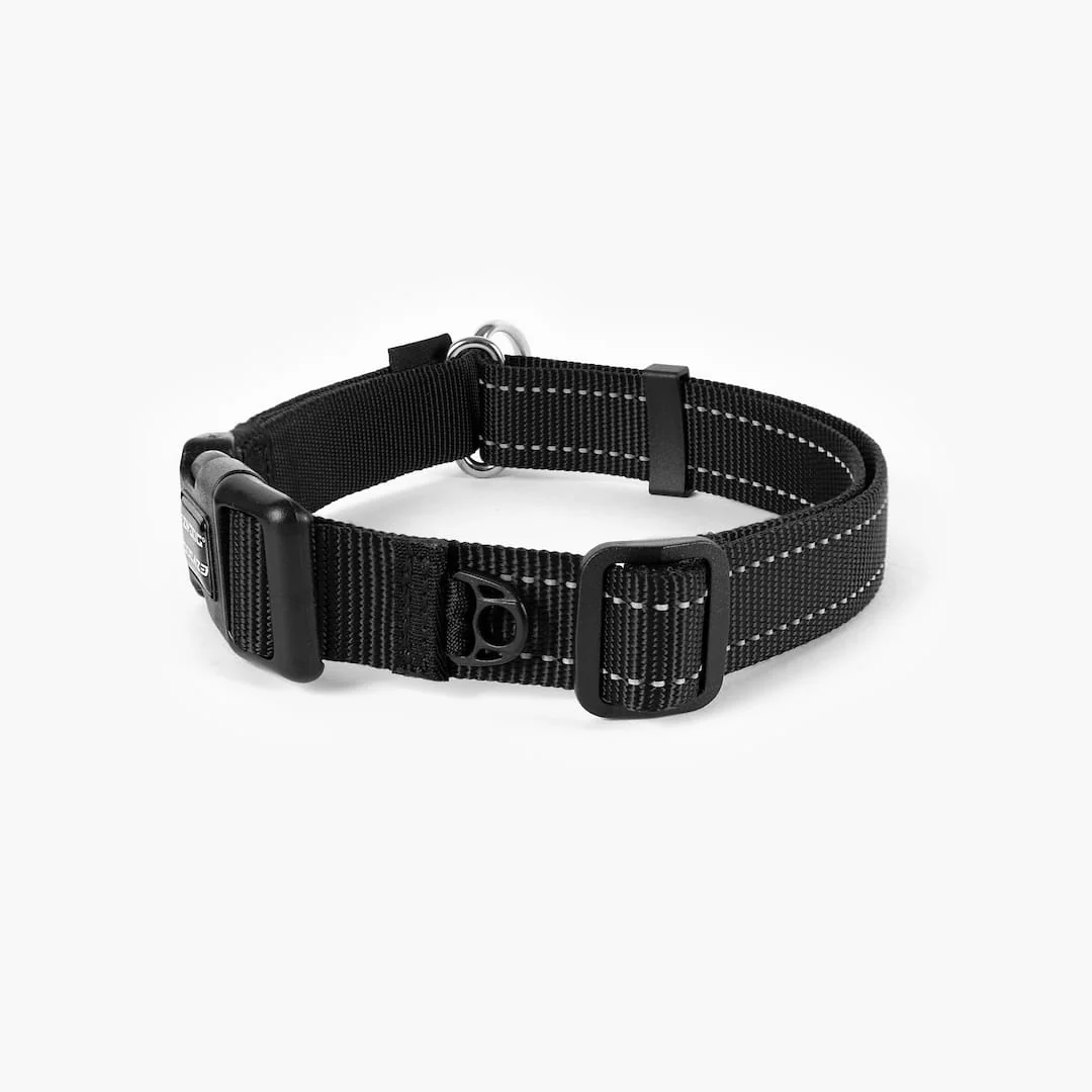 Checkmate™ Collar - Image 24