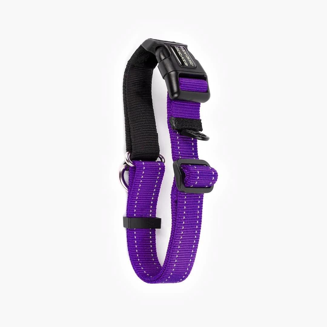 Checkmate™ Collar - Image 27