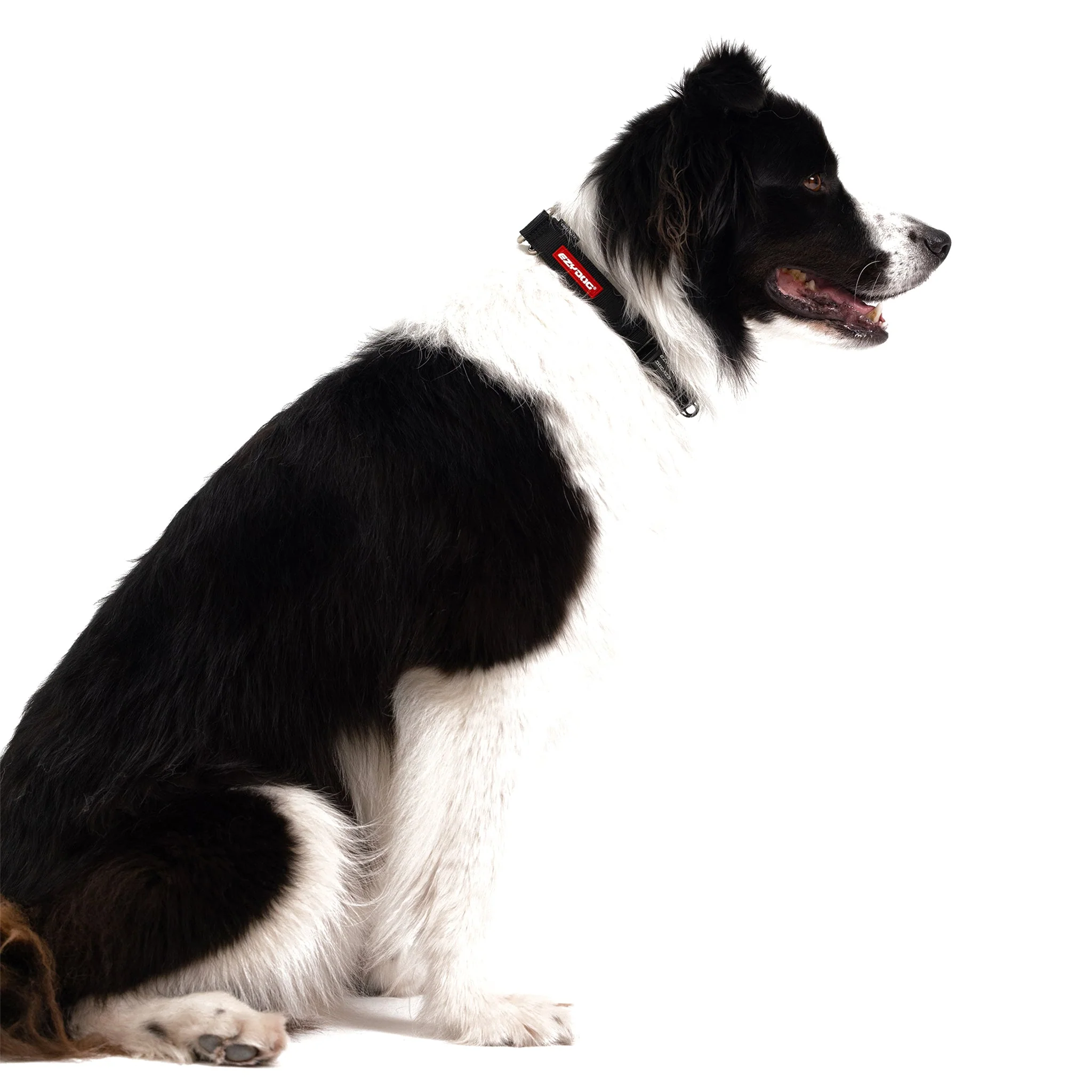 Checkmate™ Collar - Image 3