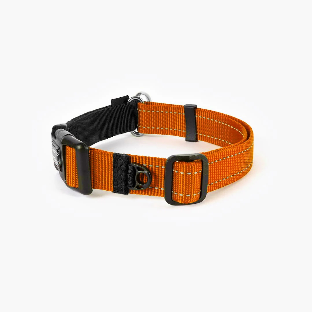 Checkmate™ Collar - Image 33