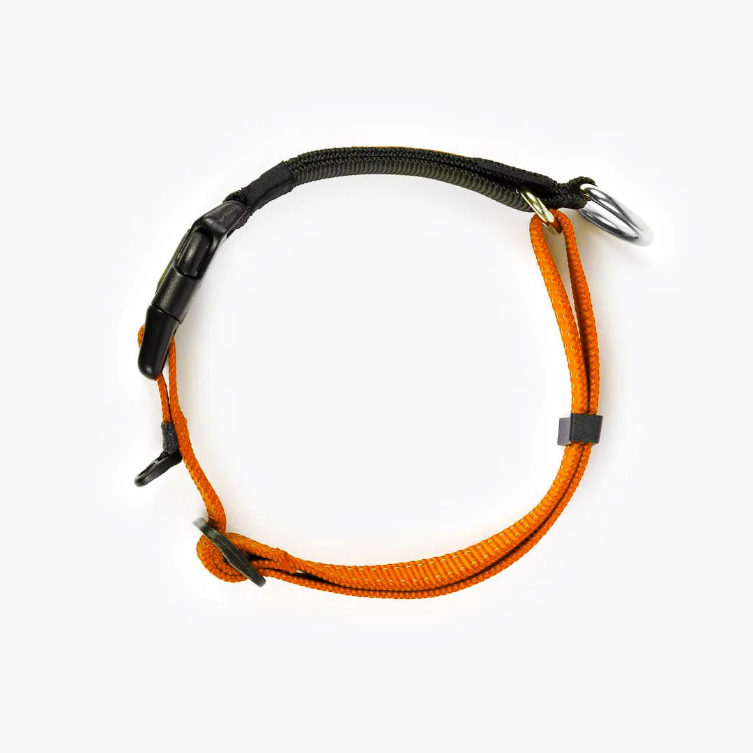 Checkmate™ Collar - Image 35