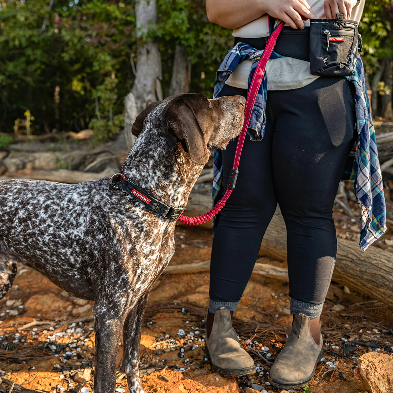 Checkmate™ Collar - Image 5