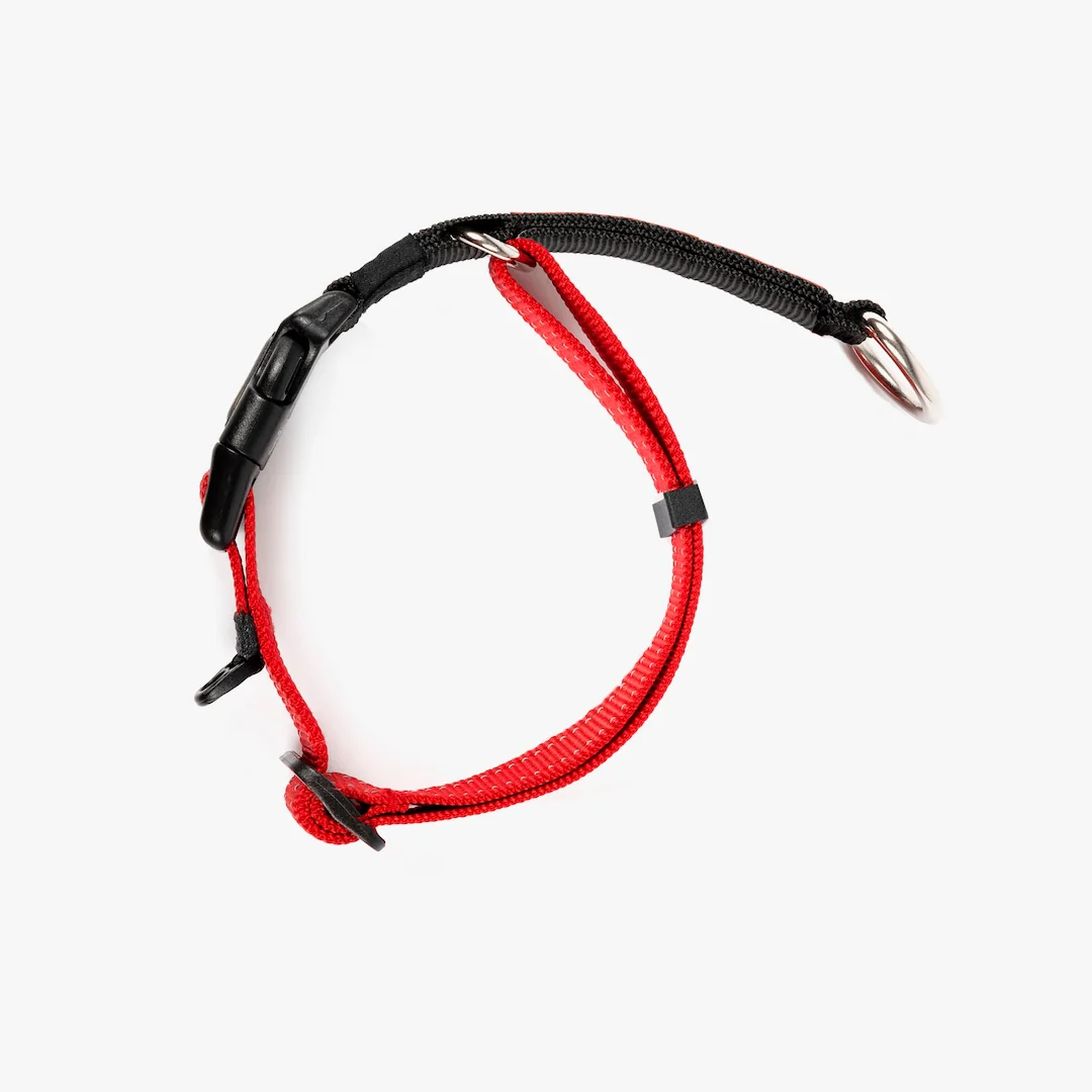 Checkmate™ Collar - Image 6