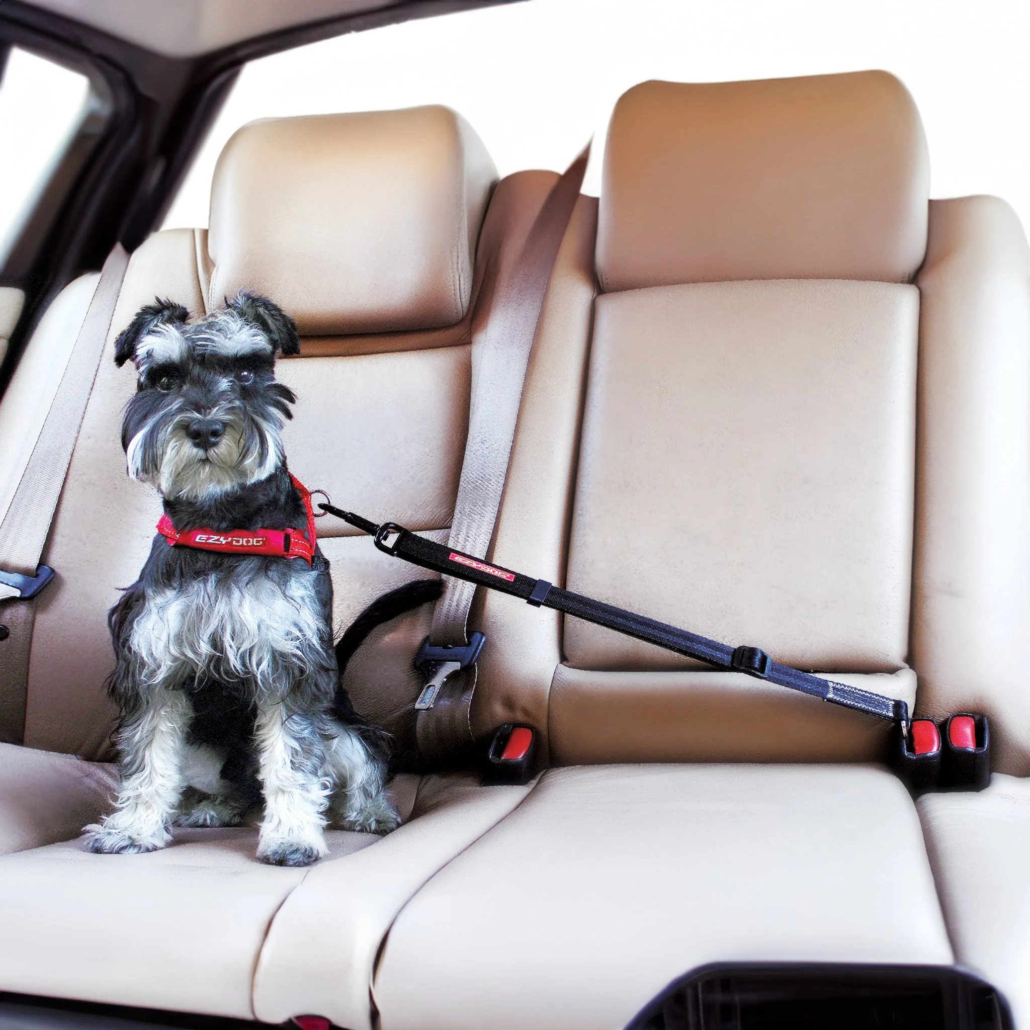 Click™ Adjustable Car Restraint - Image 4