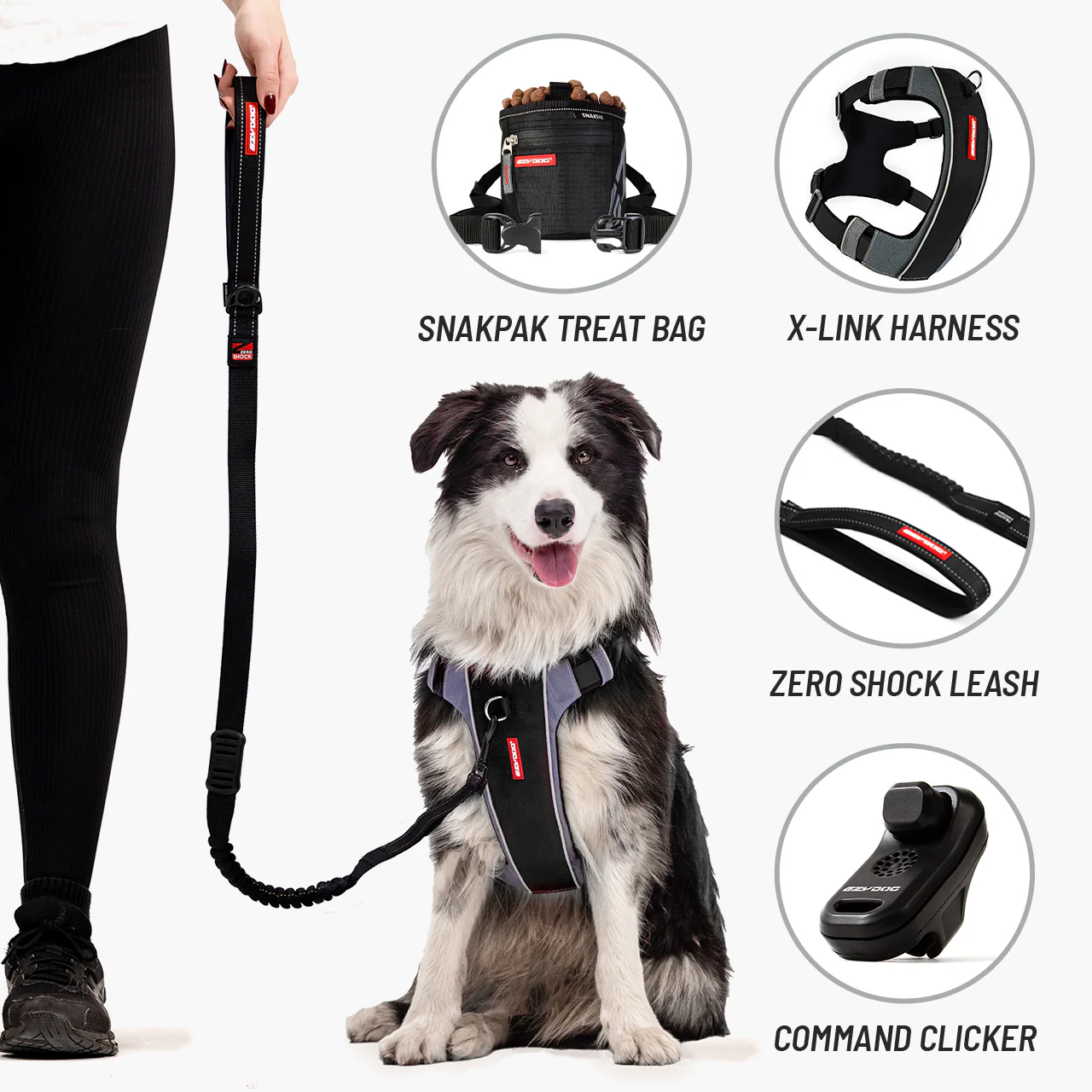 Come Sit Stay Training Kit - Image 2