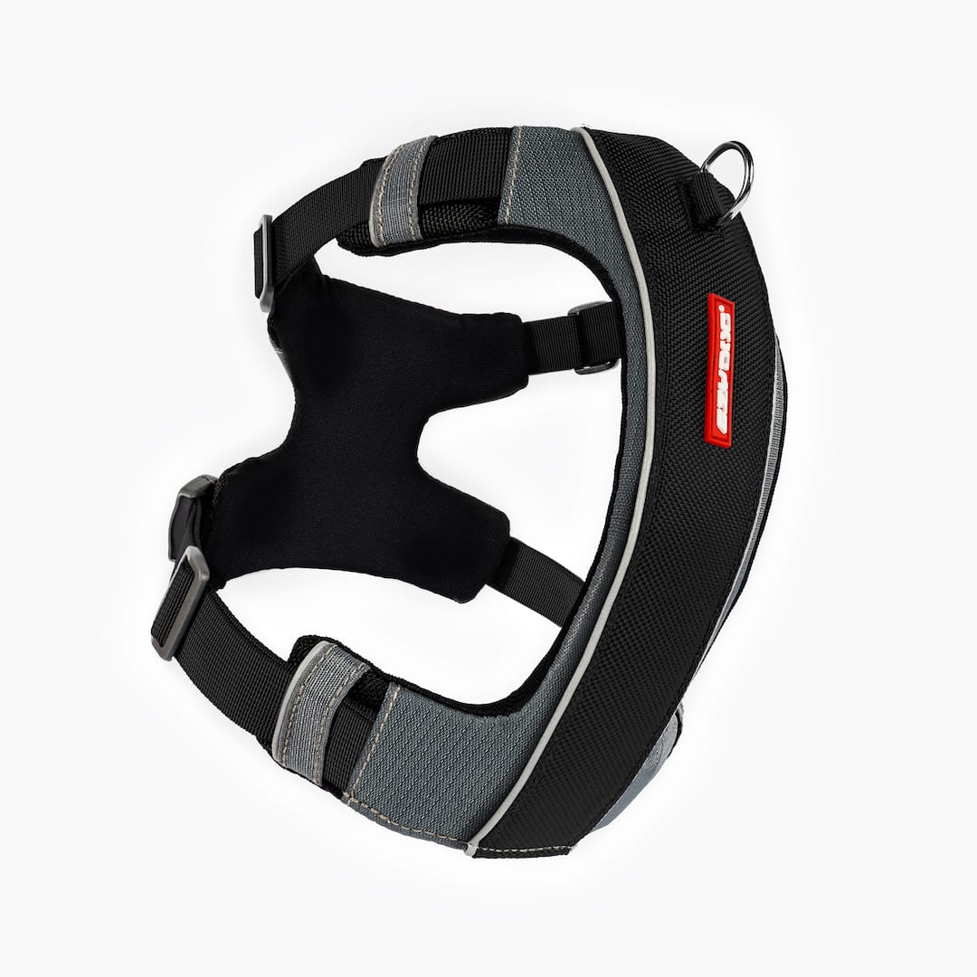 X-Link™ Dog Harness - Image 9