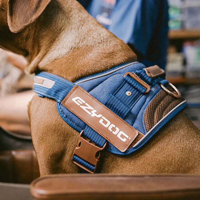Convert™ Dog Harness - Image 10