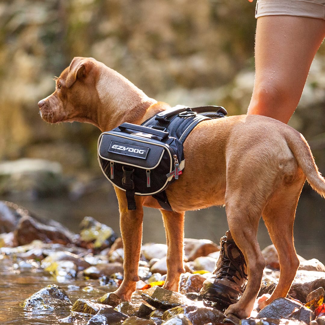 Convert™ Saddle Bags - Image 2