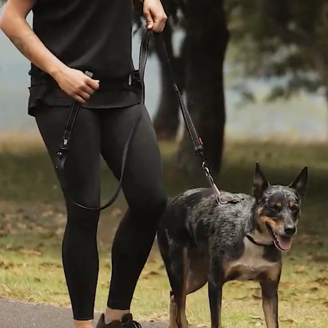 Crosscheck™ Dog Harness - Image 3