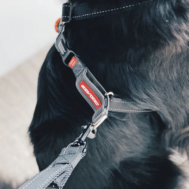 Crosscheck™ Dog Harness - Image 7