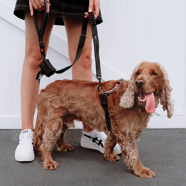 Crosscheck™ Dog Harness - Image 8