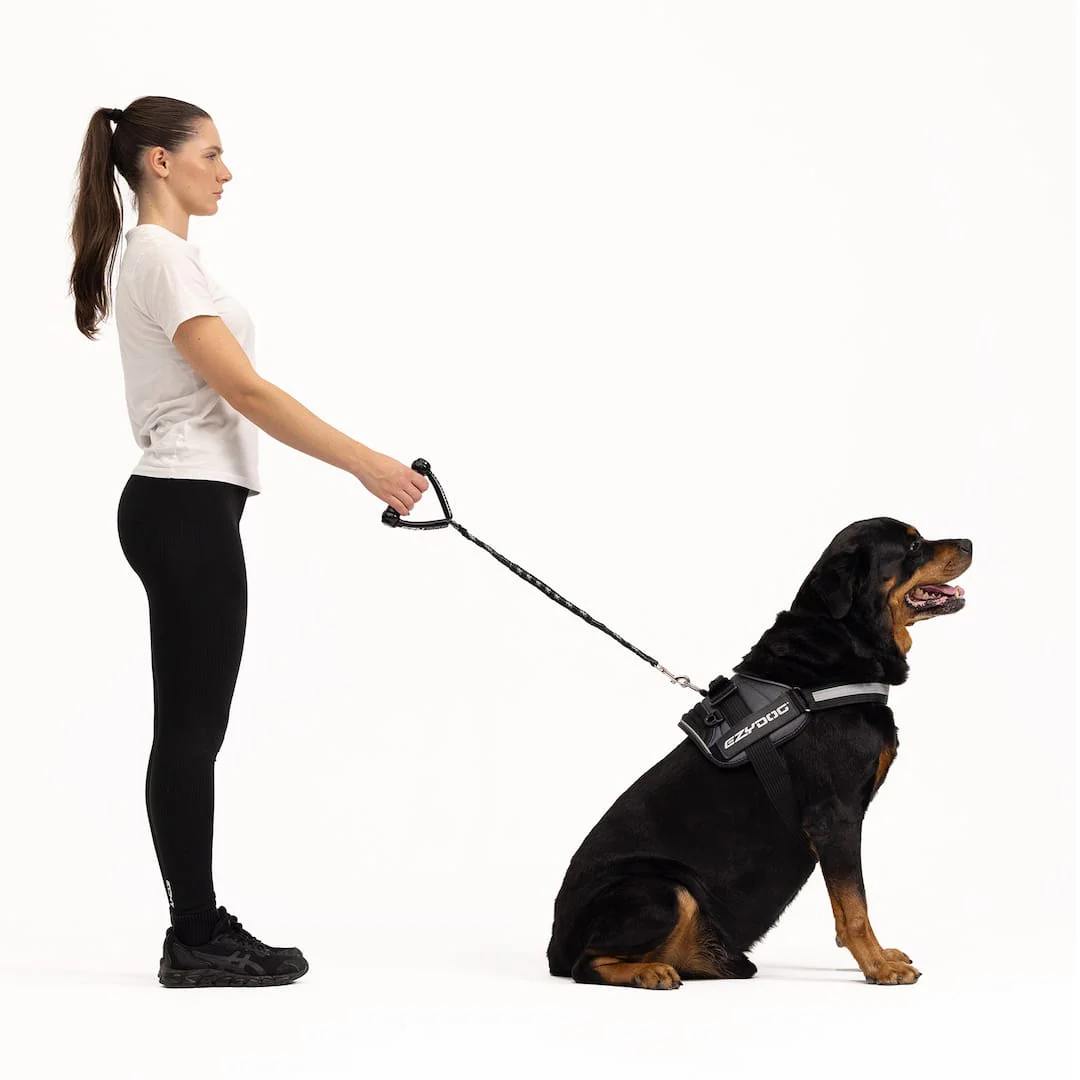 Cujo™ Leash - Image 3