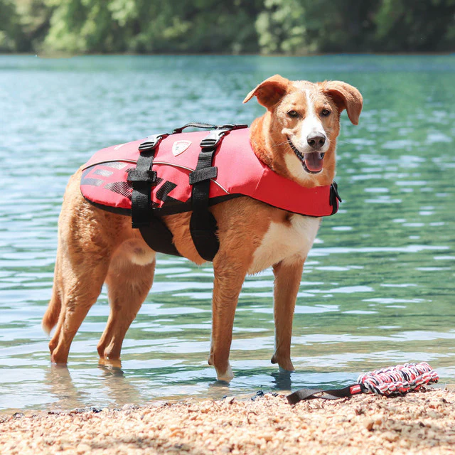 DFD™ Life Jacket - Image 3