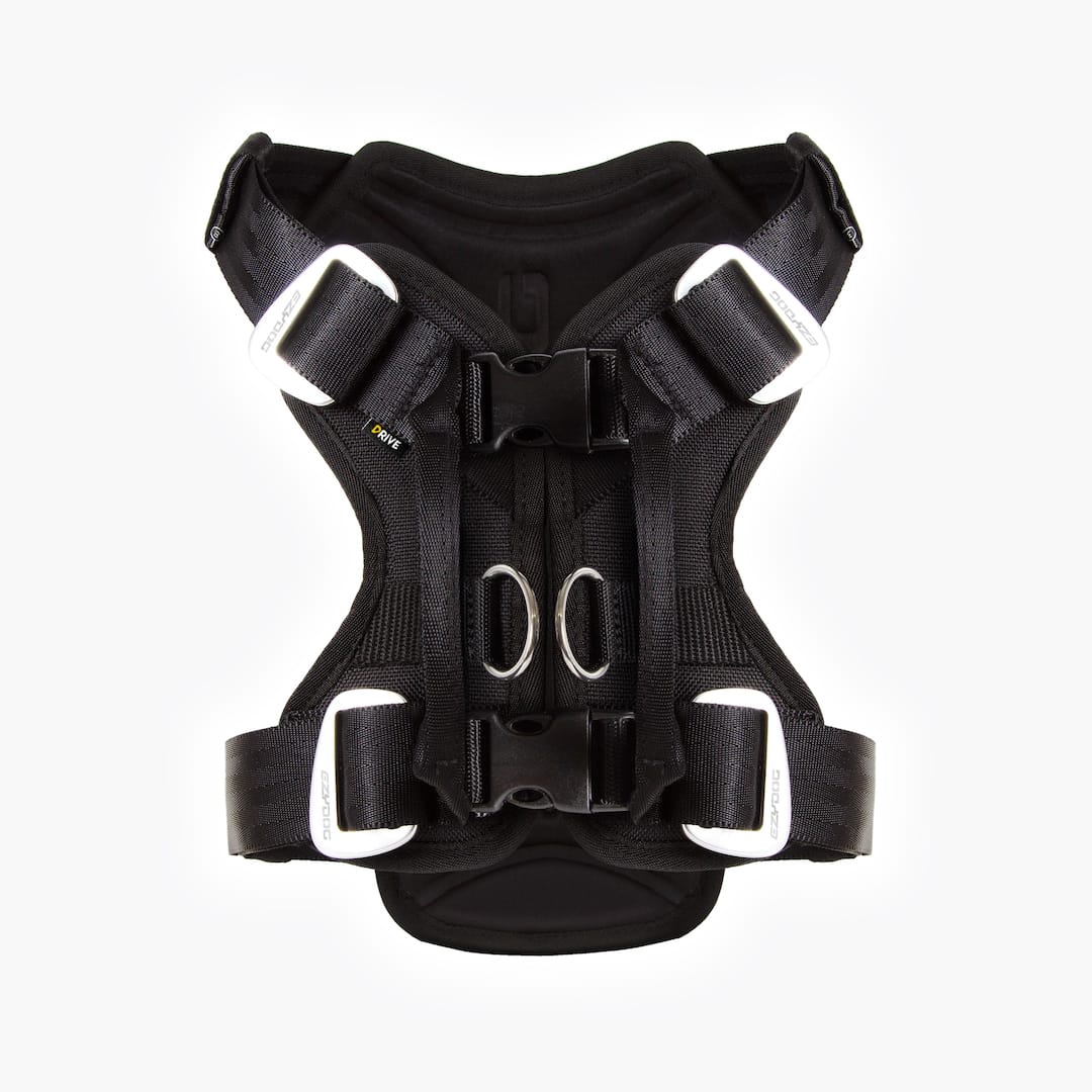 Drive™ Dog Car Harness - Image 7