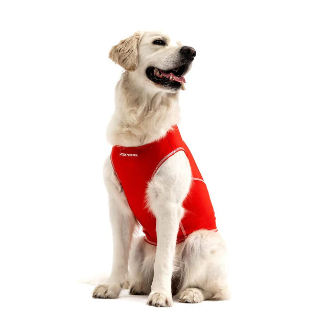 Dog Rashie Shirt - Image 2