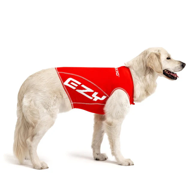 Dog Rashie Shirt - Image 4