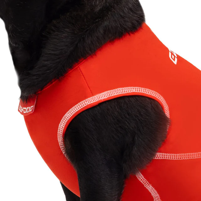 Dog Rashie Shirt - Image 6