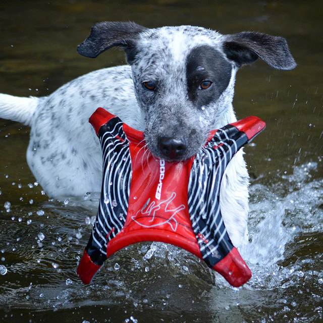 Dogstar™ Flying Disc - Image 2