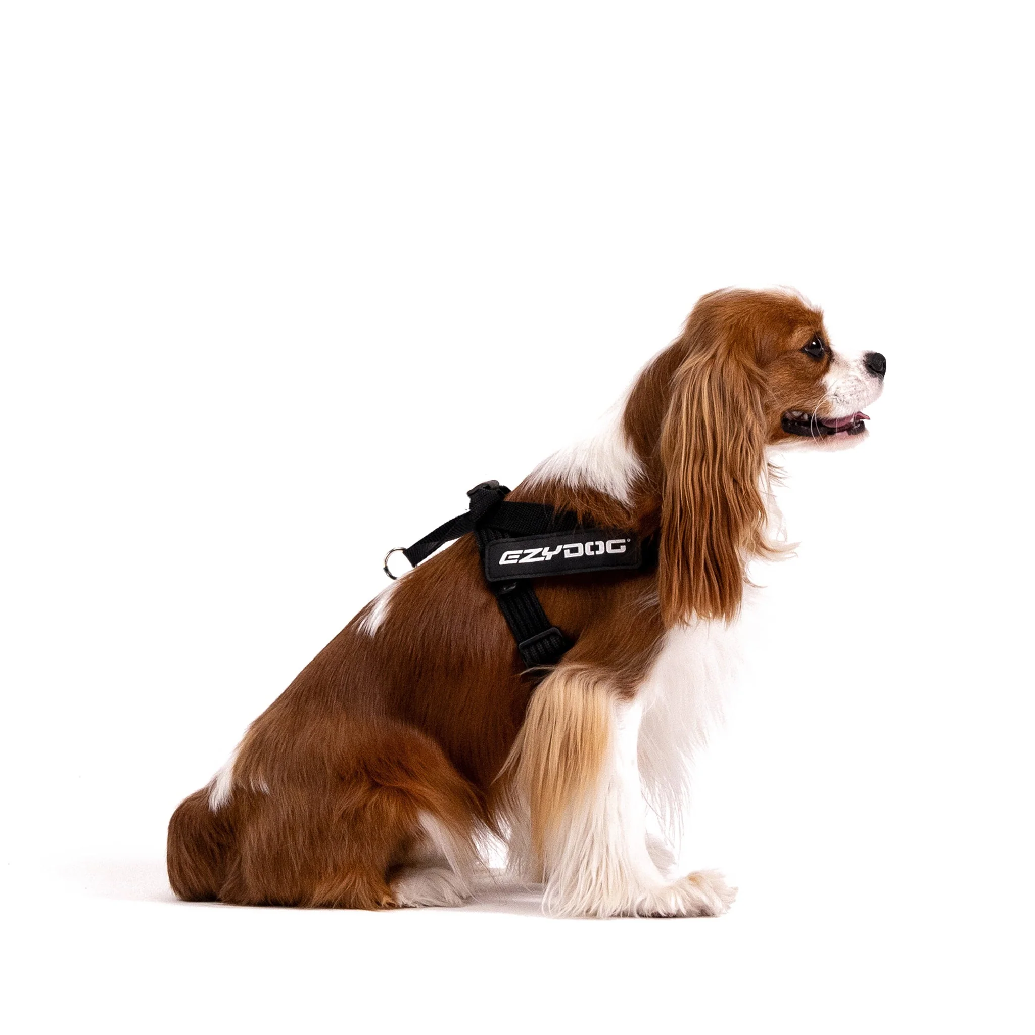 Express™ Dog Harness - Image 16