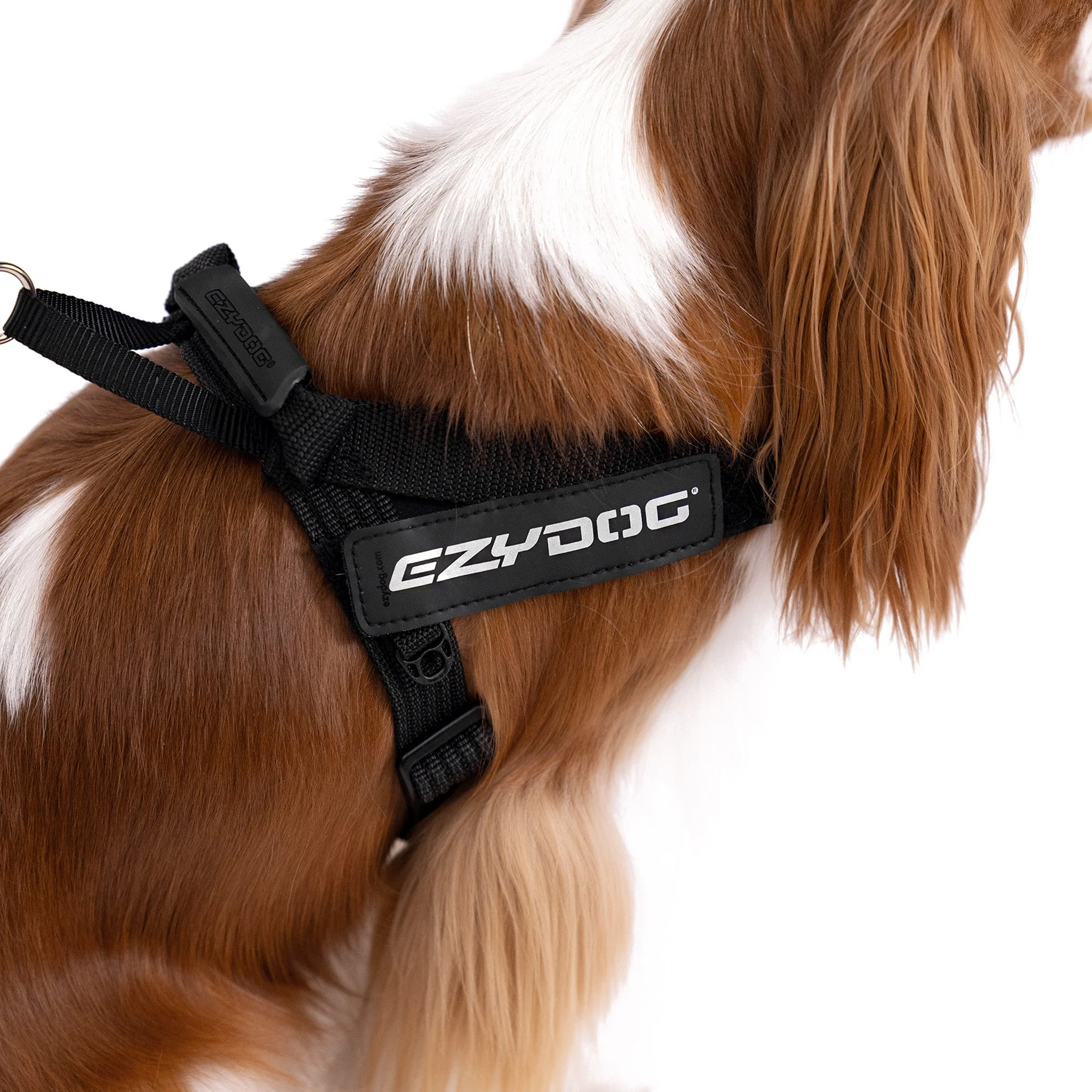 Express™ Dog Harness - Image 17