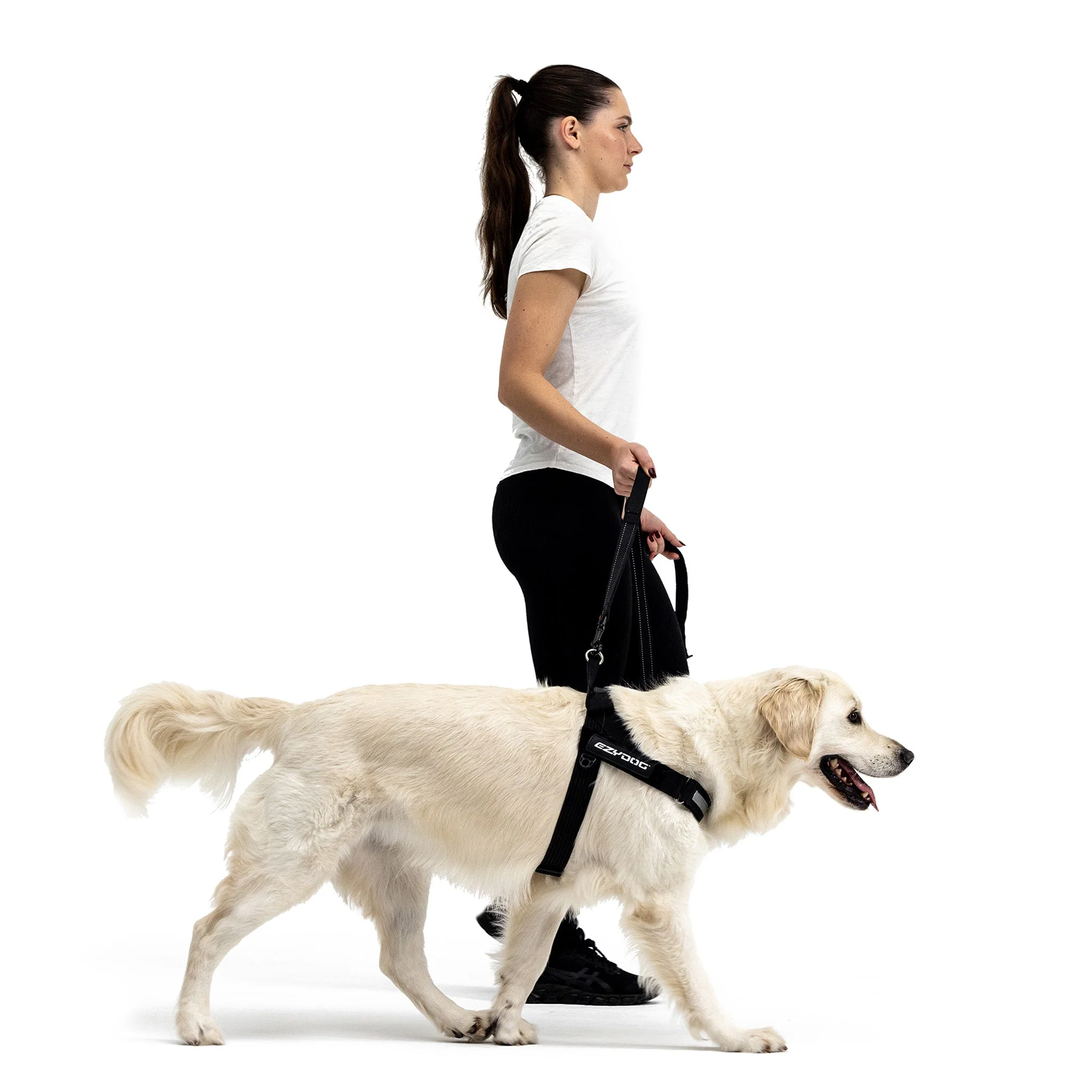 Express™ Dog Harness - Image 18