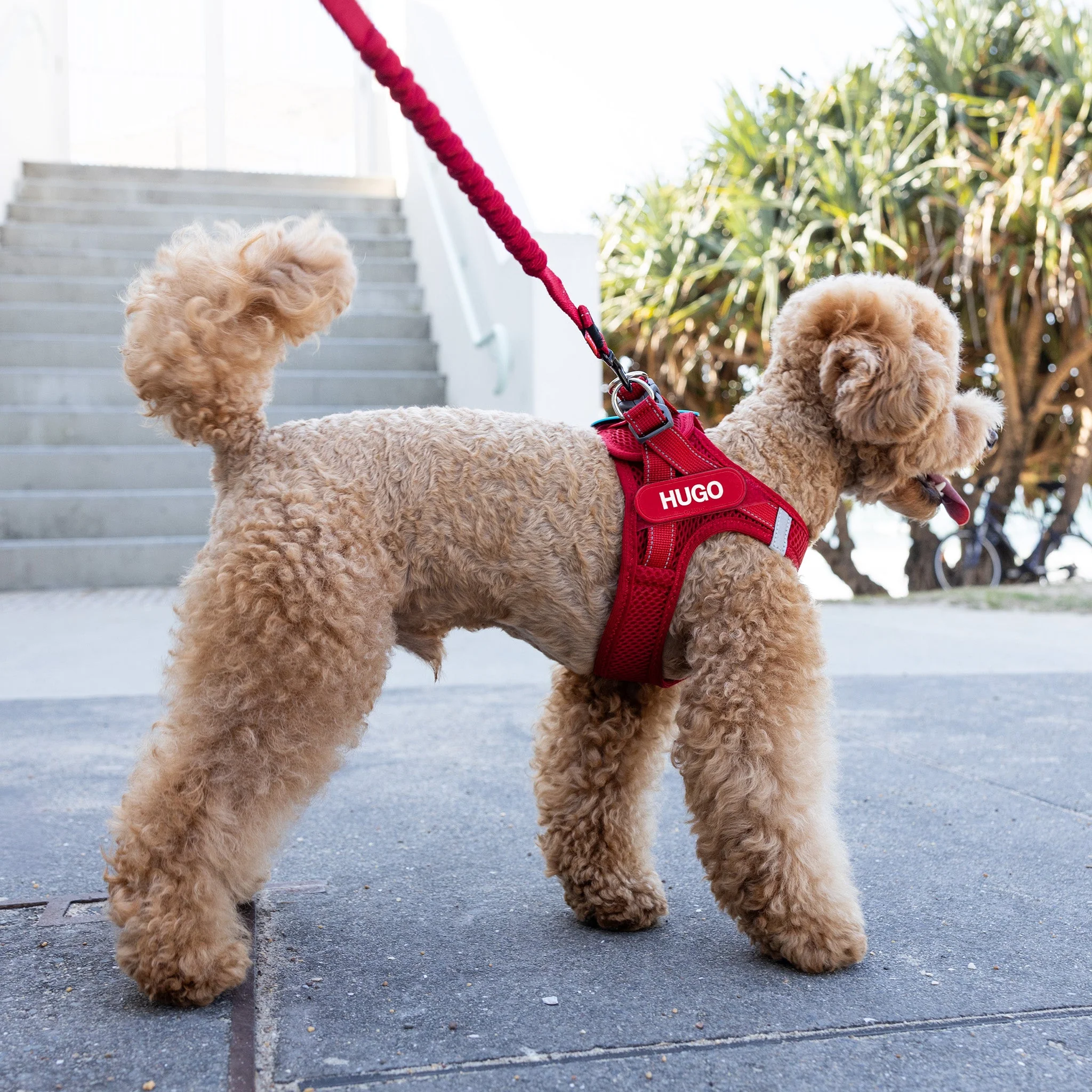 FORMFIT® Mesh Harness - Image 3