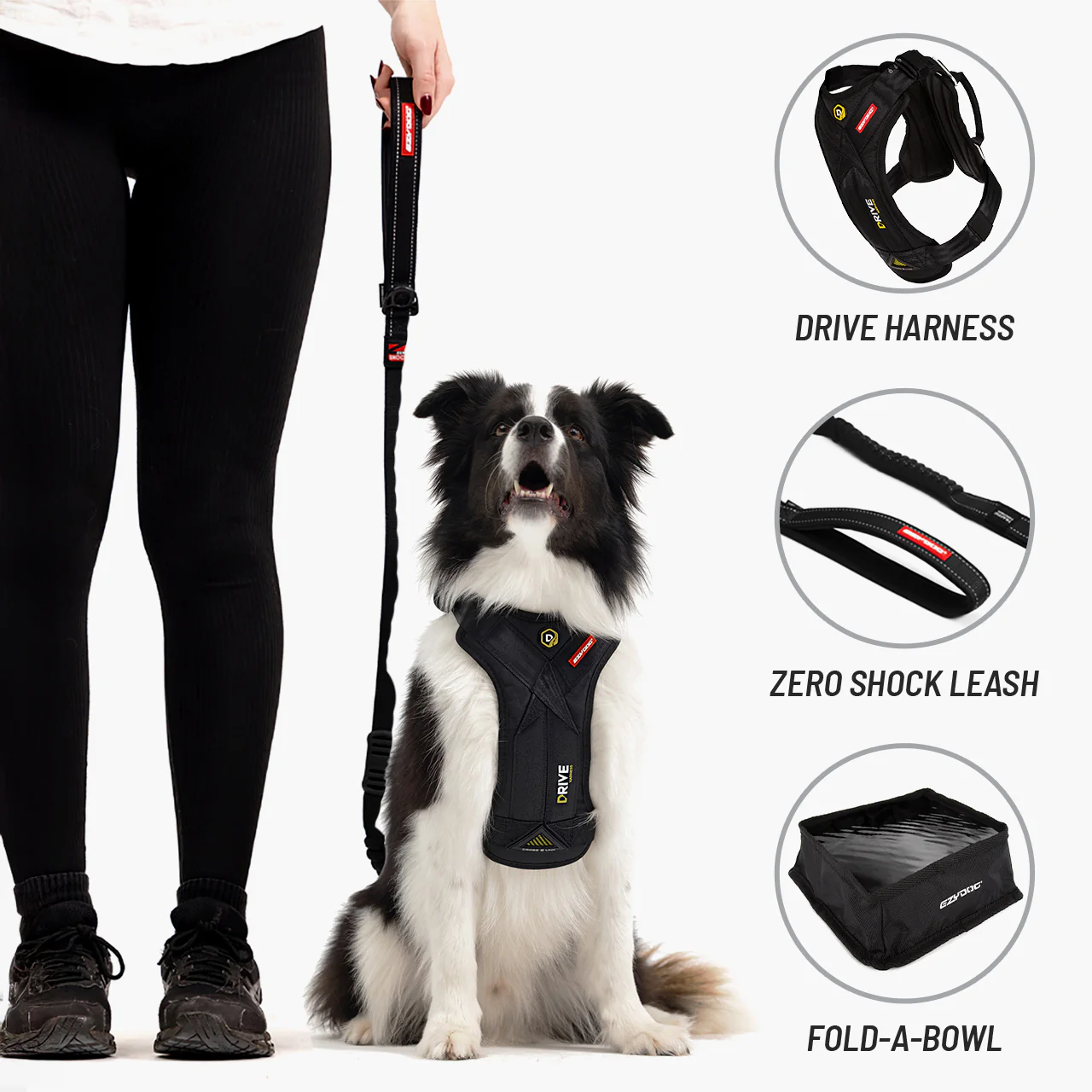 Let’s Go for a Ride Dog Travel Bundle - Image 2