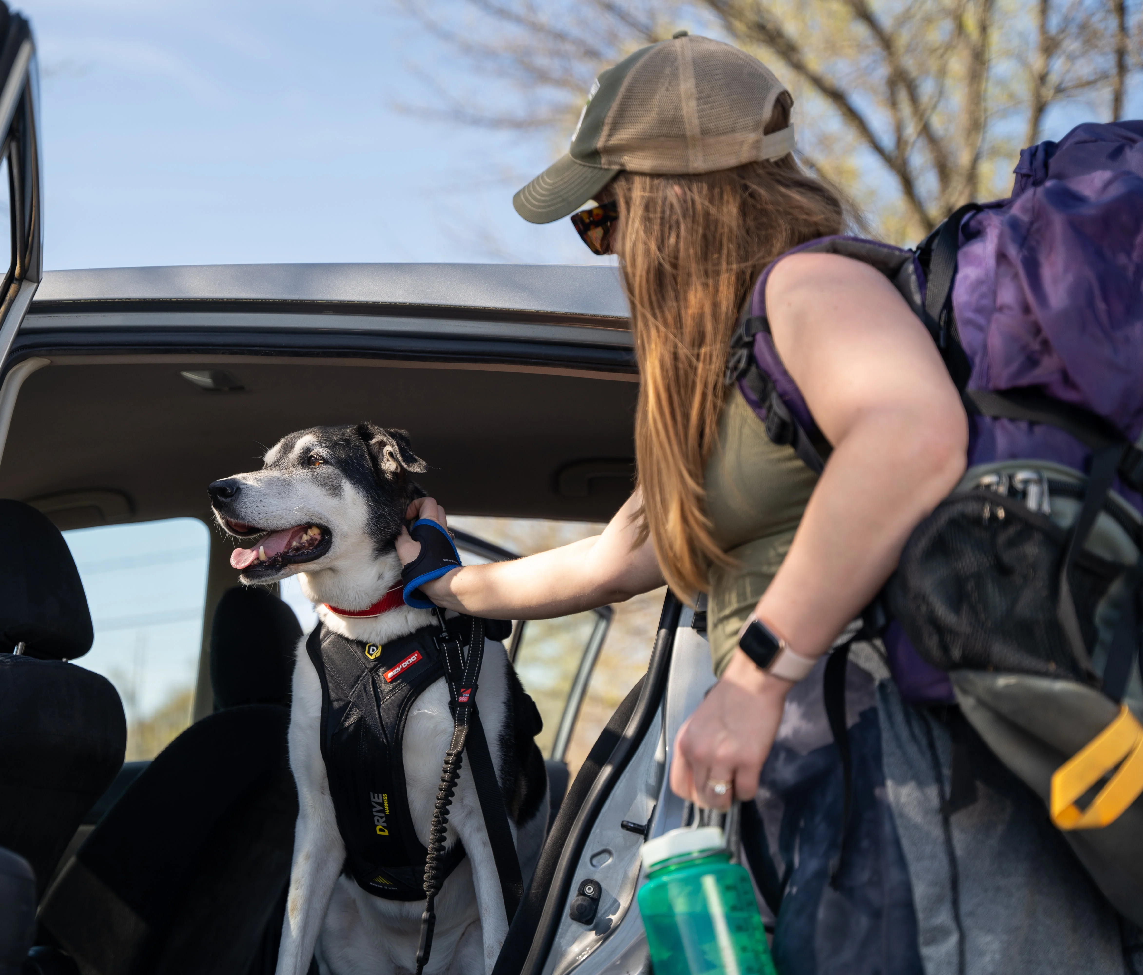 Let’s Go for a Ride Dog Travel Bundle - Image 6