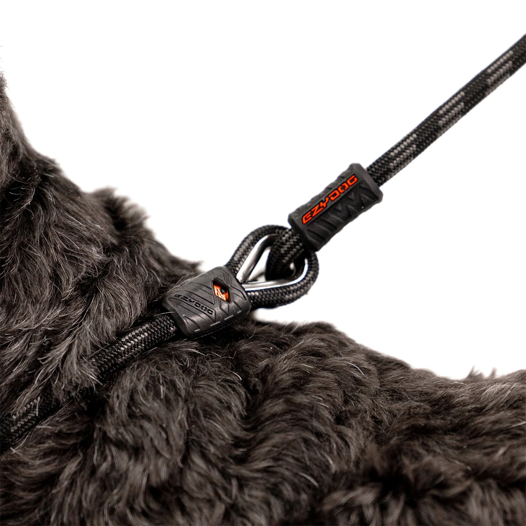 Luca™ Leash - Image 4