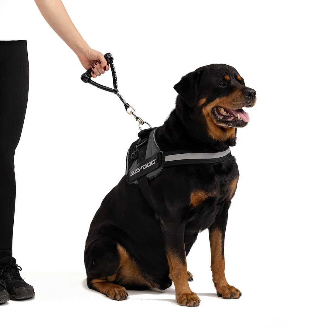 Mongrel™ Leash - Image 2