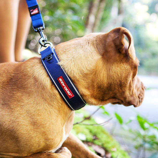 Neo™ Collar - Image 3