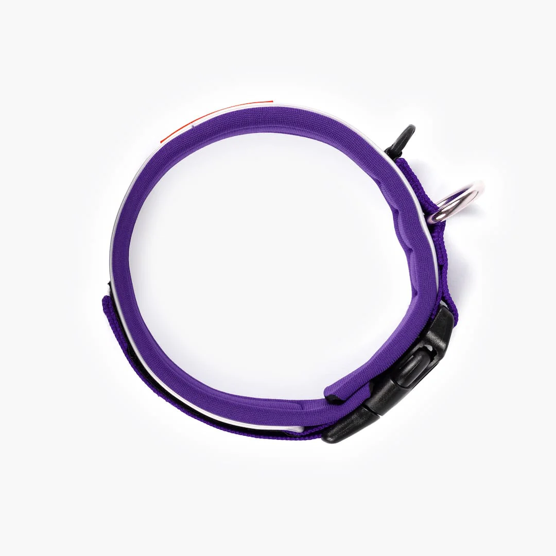 Neo™ Collar - Image 30