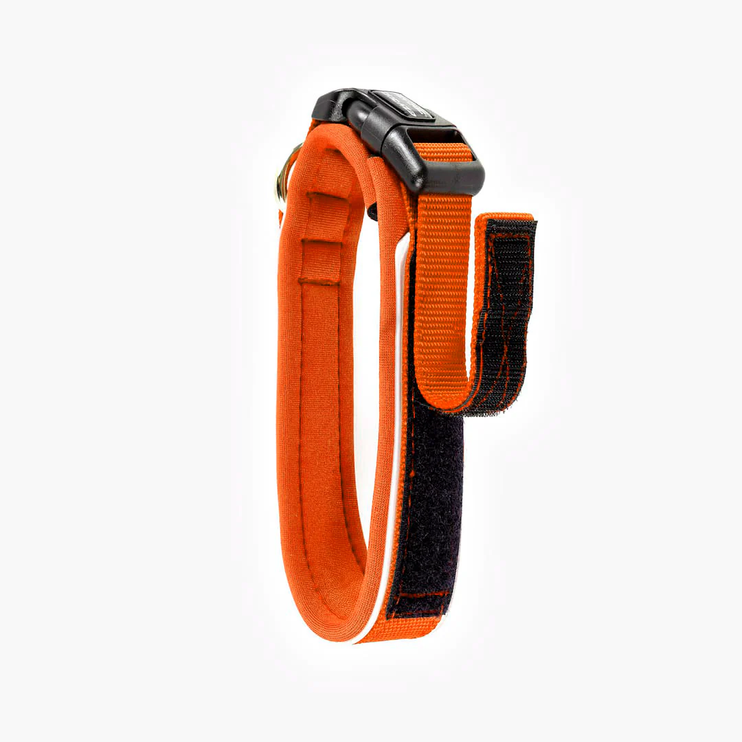 Neo™ Collar - Image 33