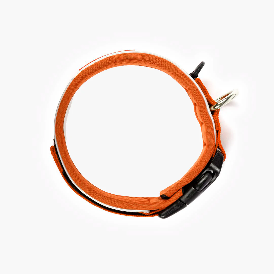 Neo™ Collar - Image 35