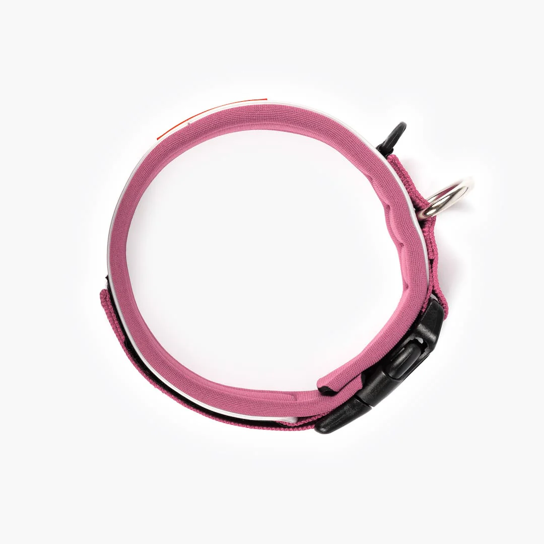 Neo™ Collar - Image 37
