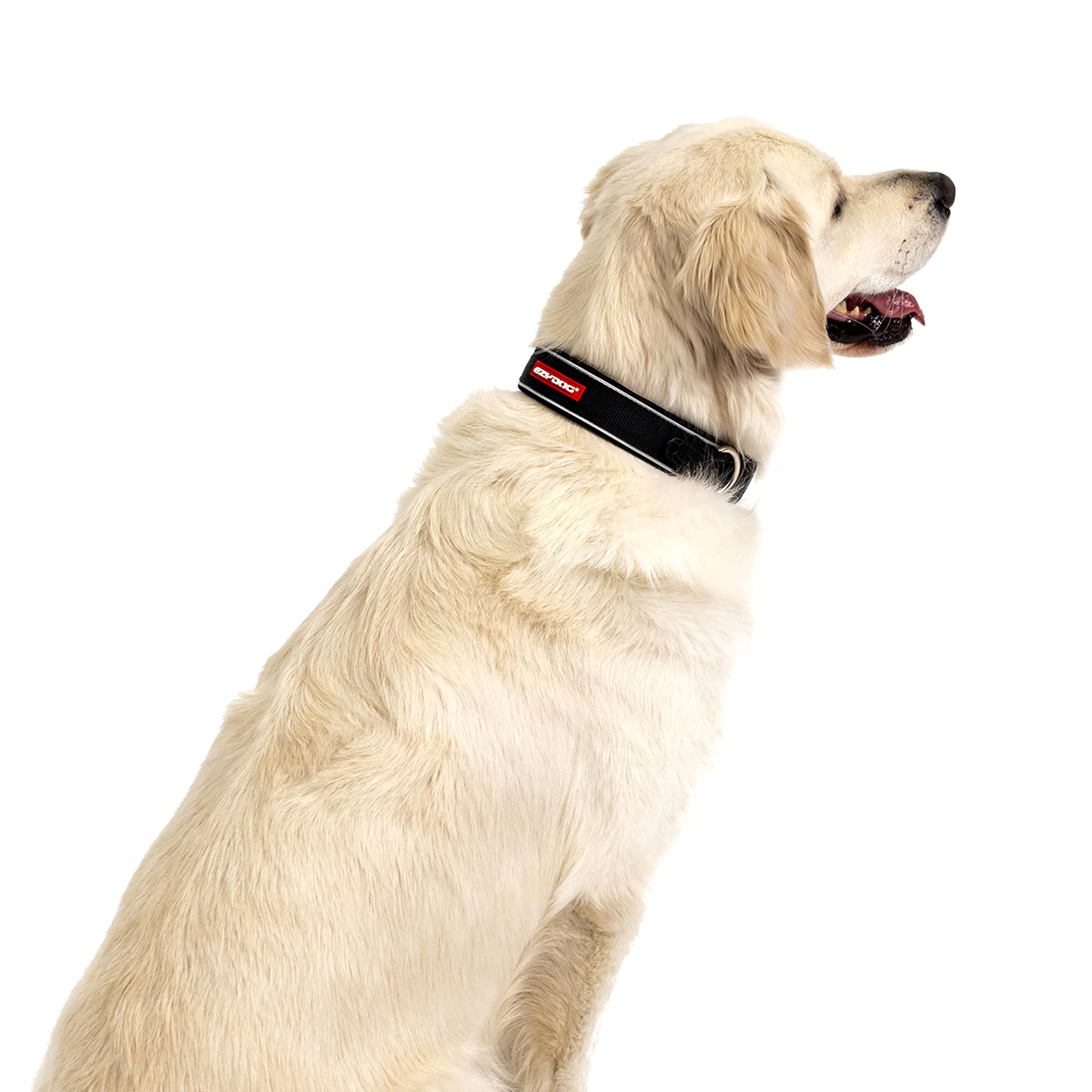 Neo™ Collar - Image 4