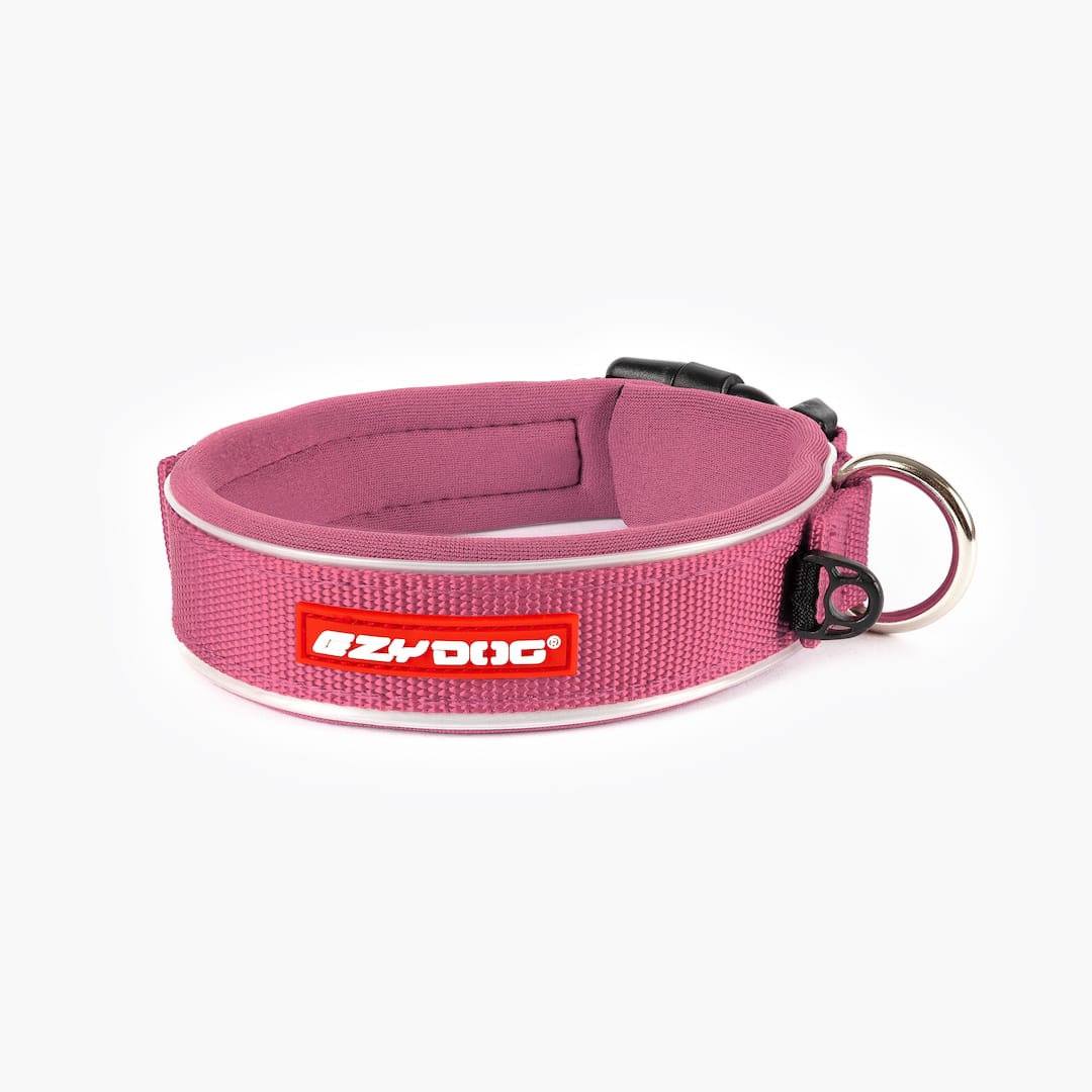 Neo™ Collar - Image 8