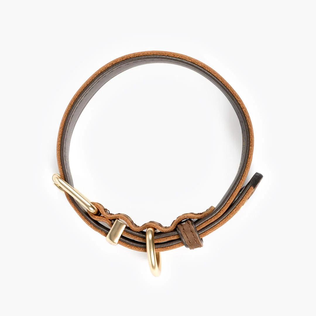 Oxford Leather - Classic Collar - Image 10