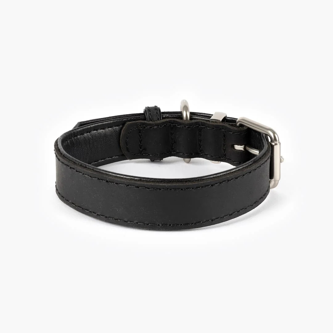 Oxford Leather - Classic Collar - Image 14