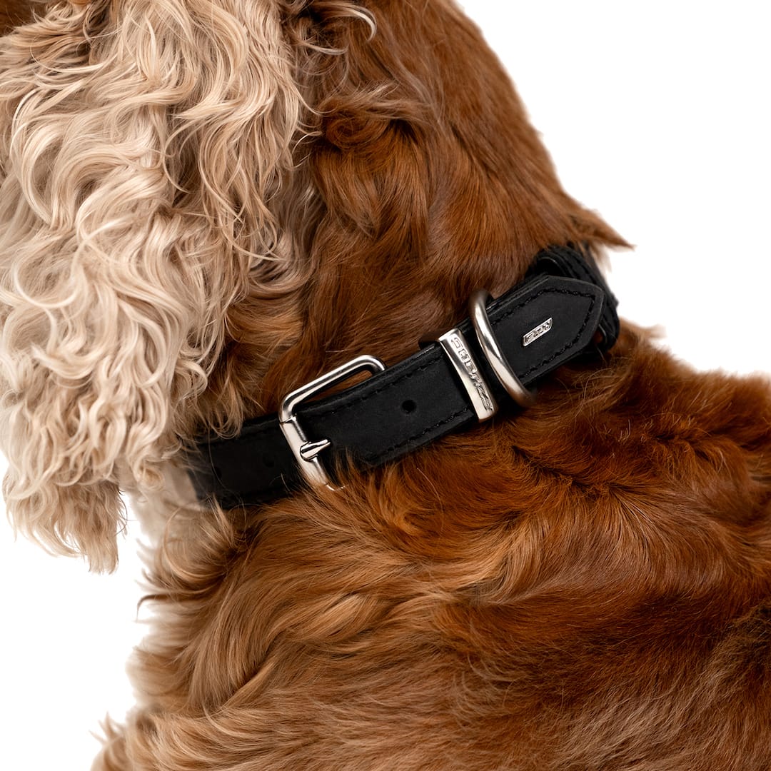 Oxford Leather - Classic Collar - Image 2