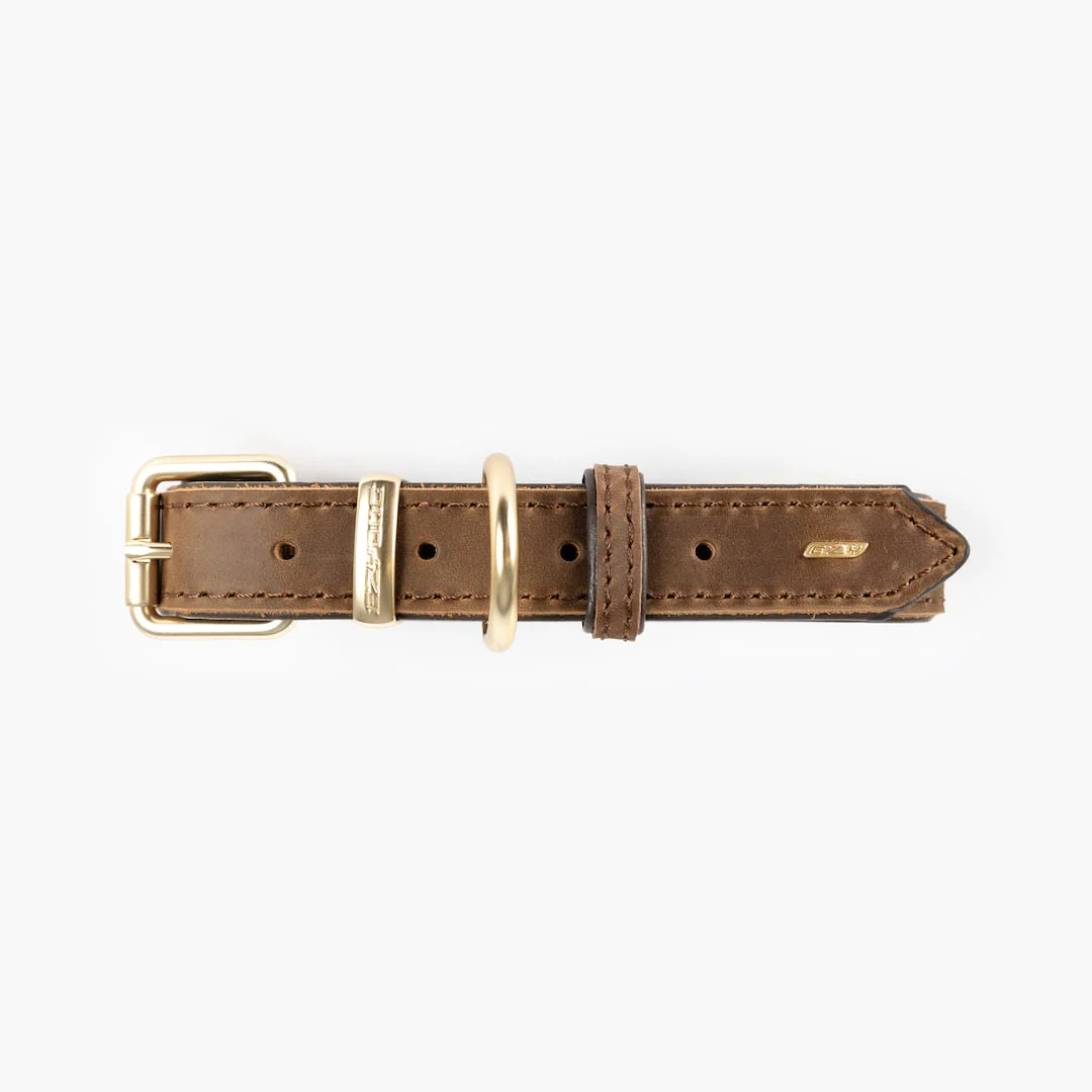 Oxford Leather - Classic Collar - Image 8