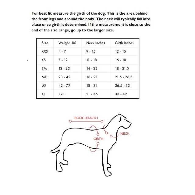 Quick Fit™ Dog Harness - Image 16