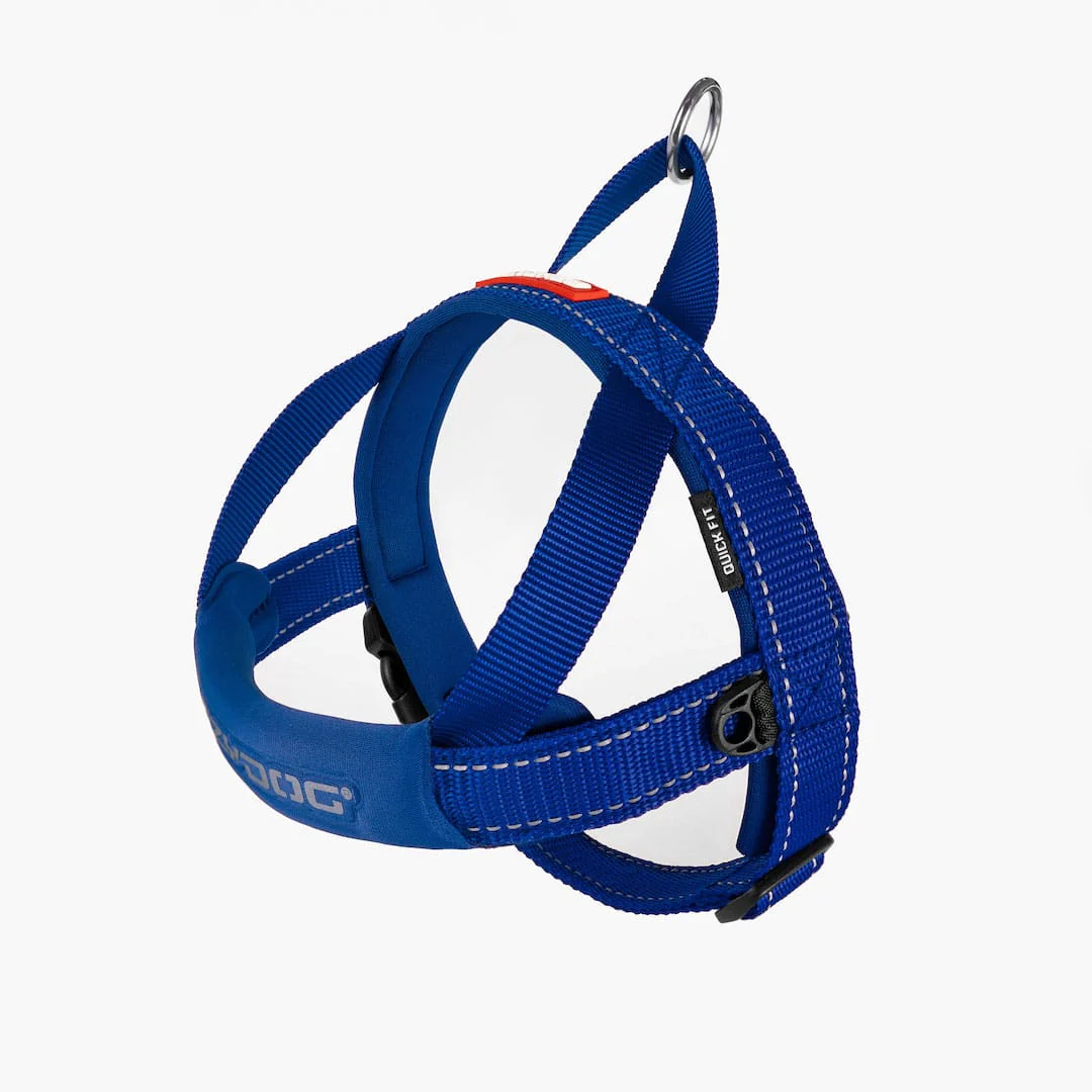Quick Fit™ Dog Harness - Image 4