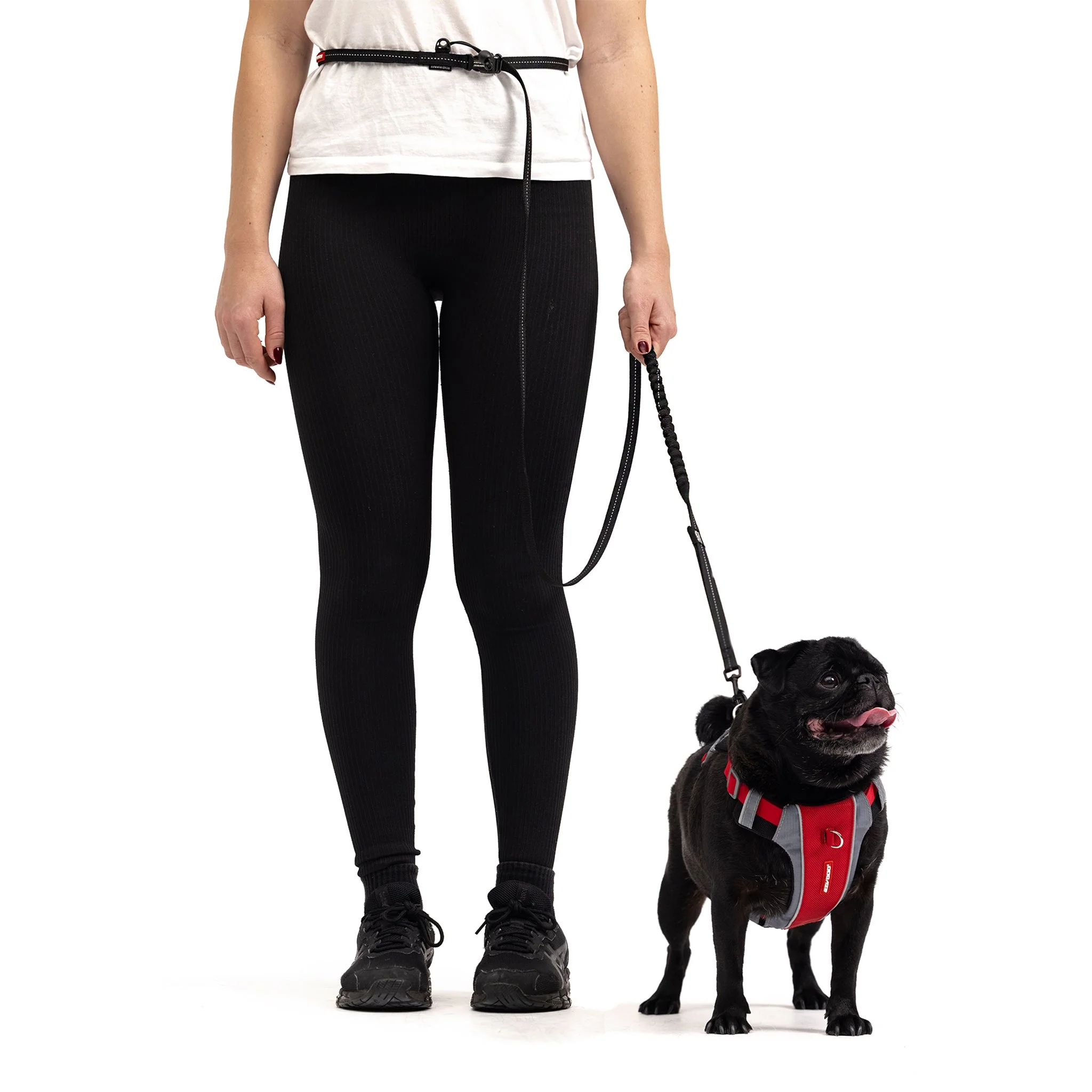Road Runner™ Leash - Image 14