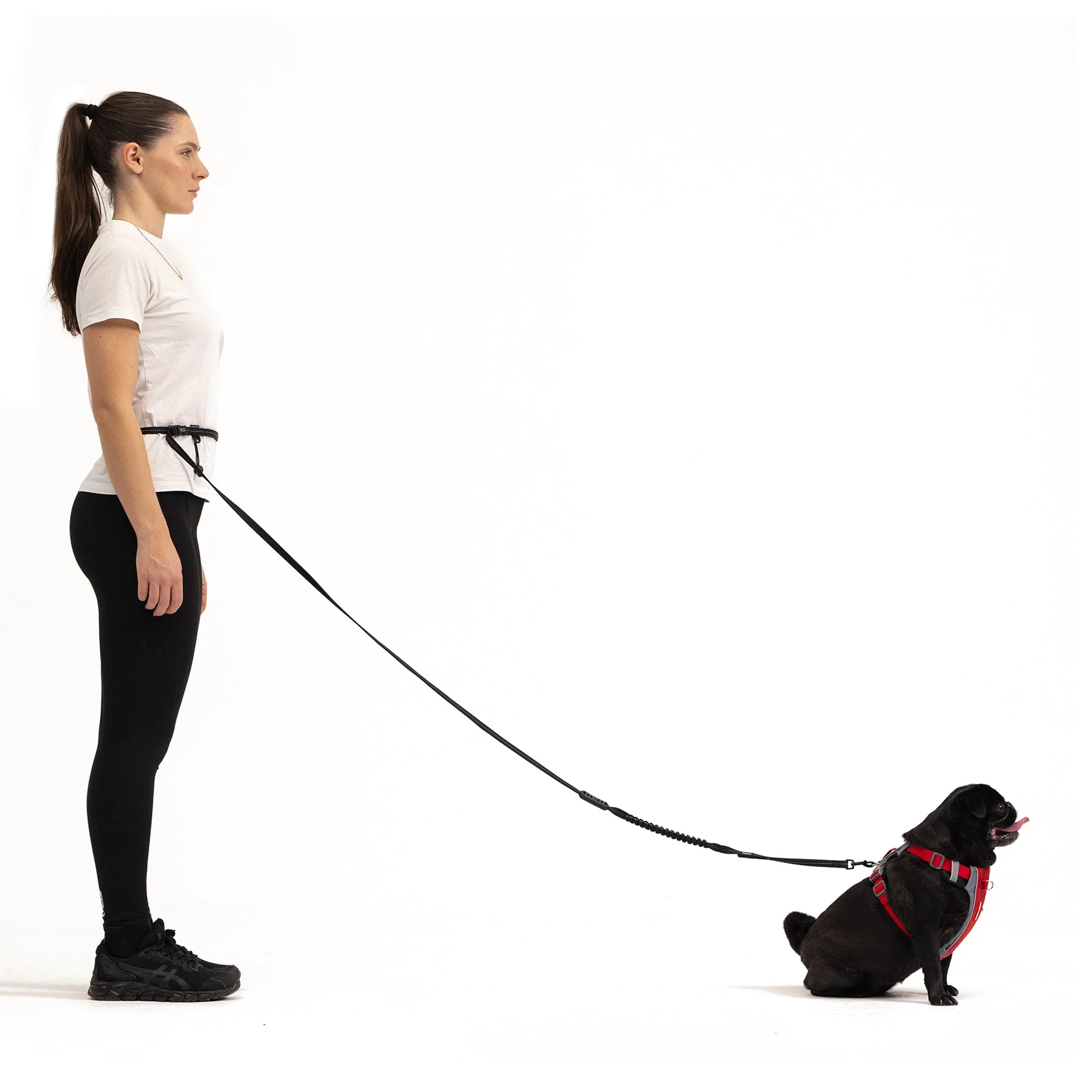Road Runner™ Leash - Image 15