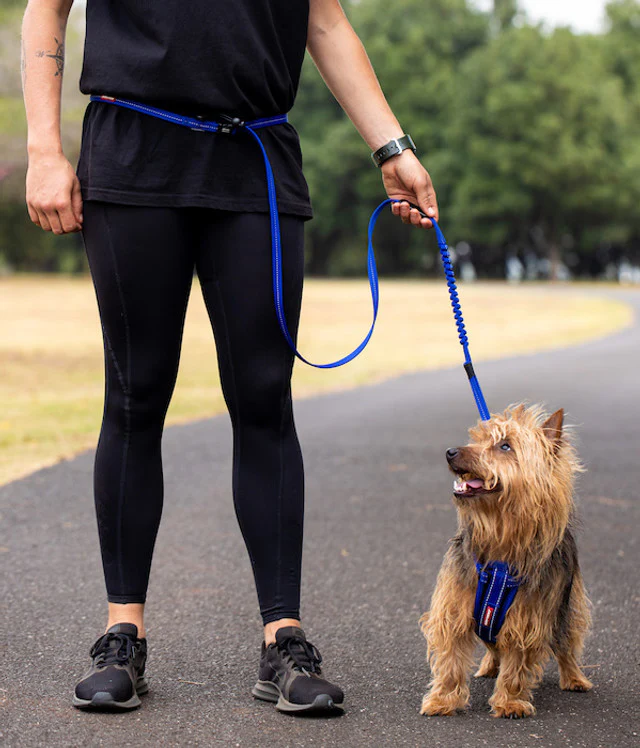 Road Runner™ Leash - Image 16