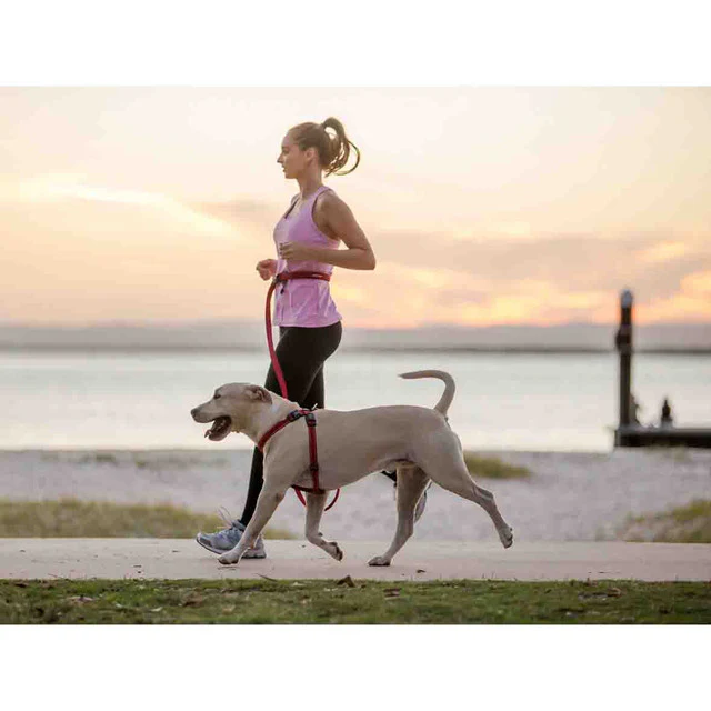 Road Runner™ Leash - Image 6